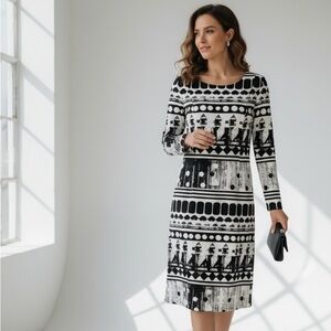 Lily and Taylor New York Paris ladies, long sleeve crewneck dress size 10 lined